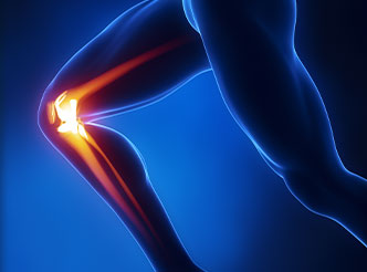 运动系统领域模型数据