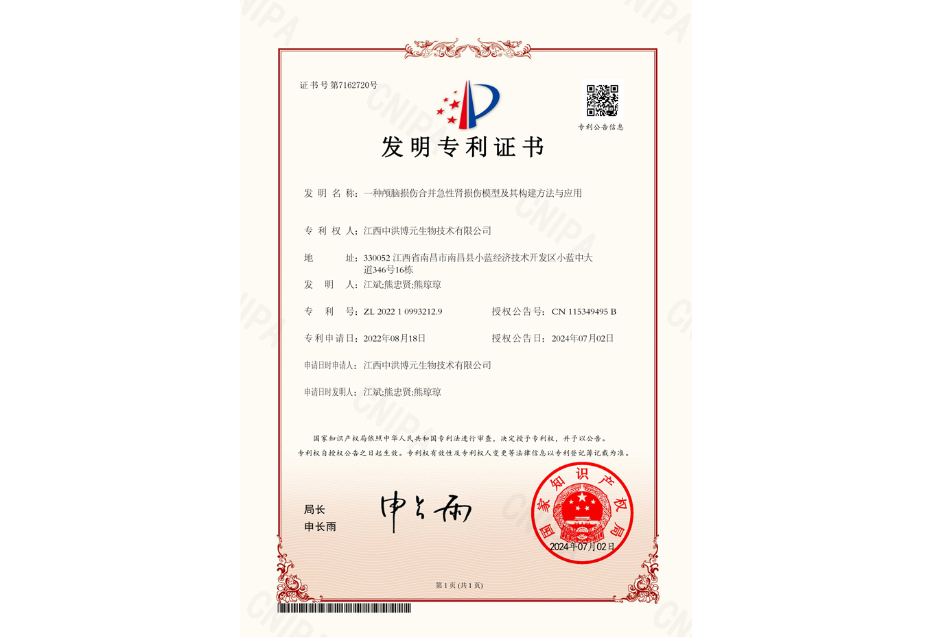 一种颅脑损伤合并急性肾损伤模型及其构建方法与应用