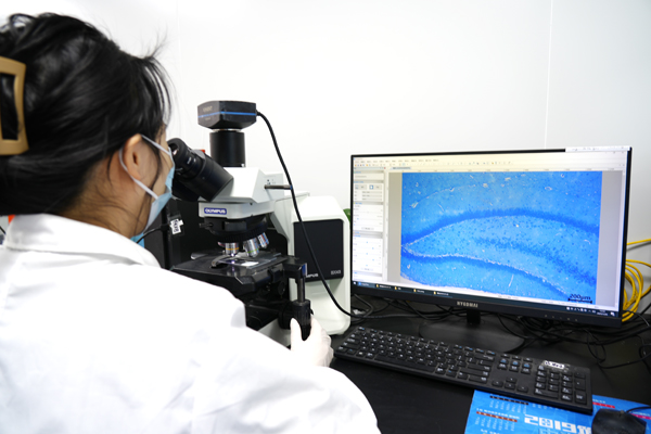 组织结构病理分析