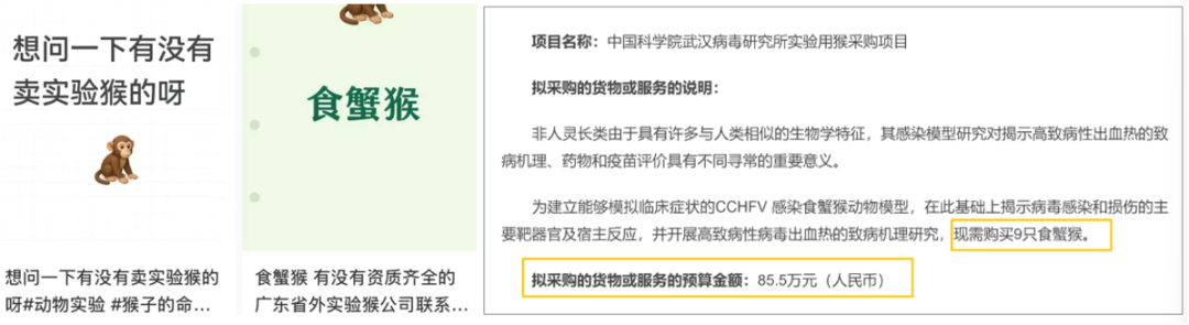 抢猴就是抢订单？猴价飙至车价，这场行业阵痛将如何倒逼CRO高质量发展？