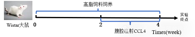 0.png